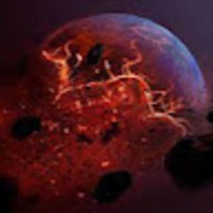 Meet your Posher, Eli lichtblau